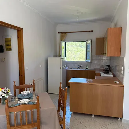 ολγα Apartment *