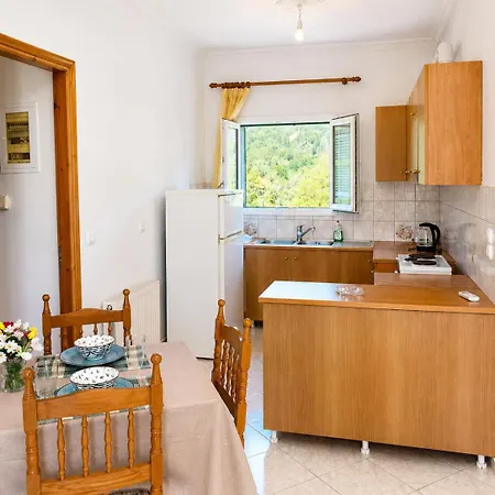 ολγα Apartament *